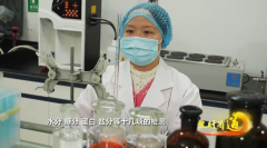 央视！紫燕食物以匠心守护舌尖平安铸就百亿卤