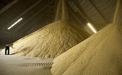 正在这个严沉问题上普京和泽连斯基“握手言和